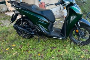 Sh 125 abs 2024 verde vetro