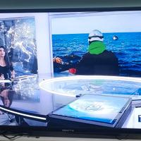 Tv zenyth da 55 