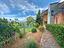 Immagine 7