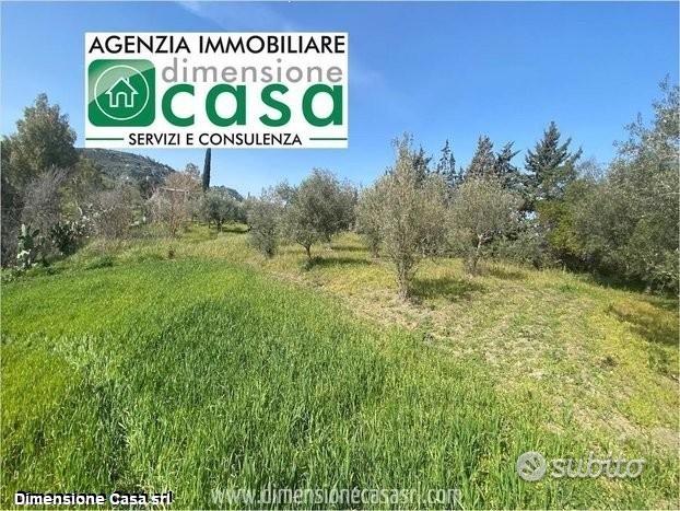 Rif.TA61|Terreno agricolo Caltanissetta