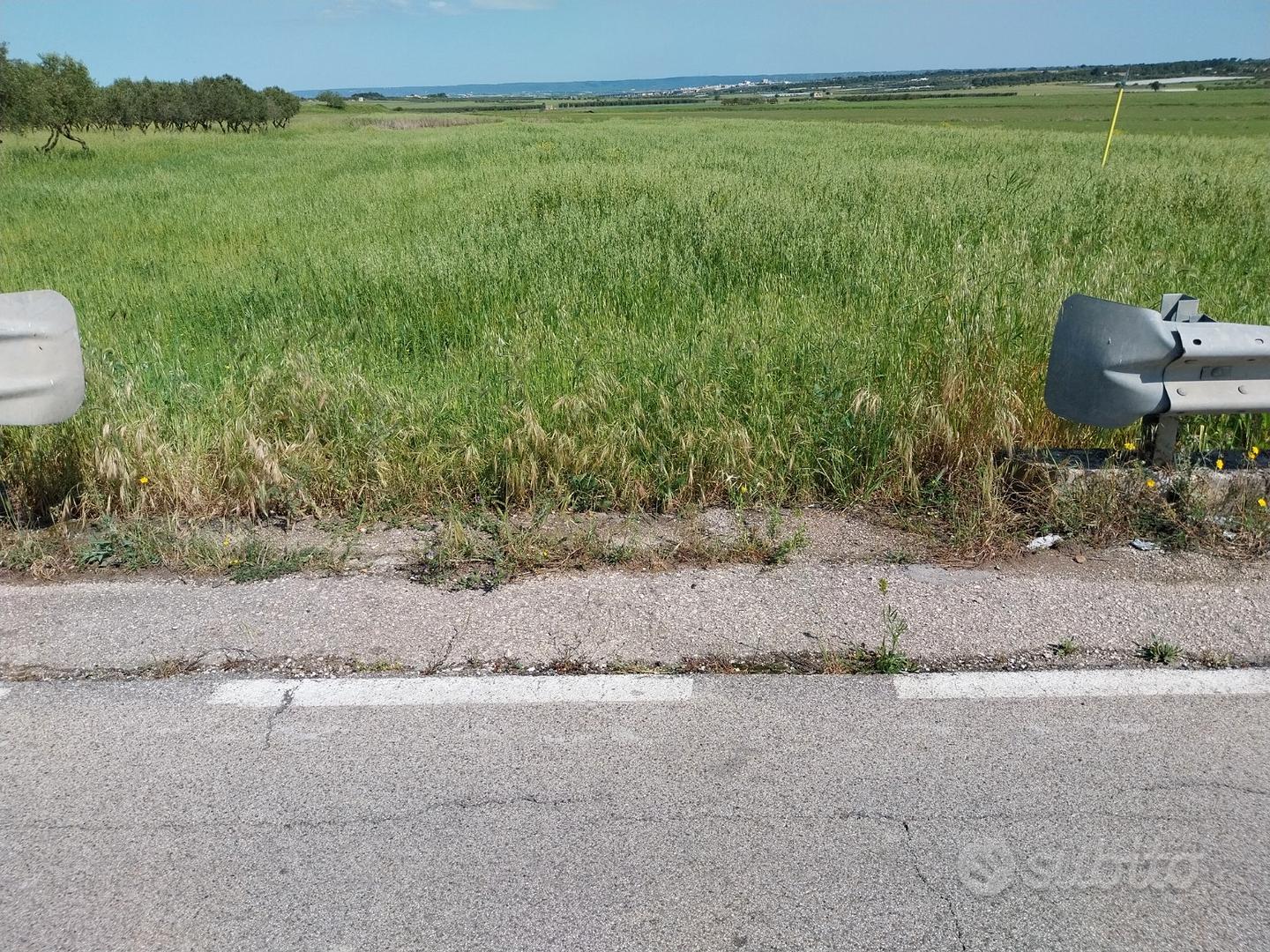 Terreno agricolo SEMINATIVO di MQ 6160 - Vista 2