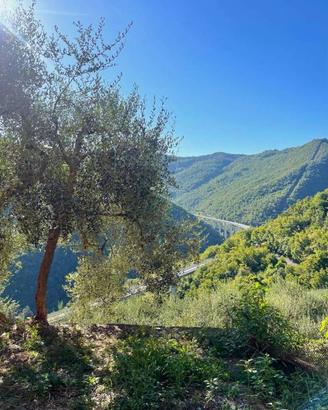 Rustico / Casale di 120 m² con più di 5 locali a P