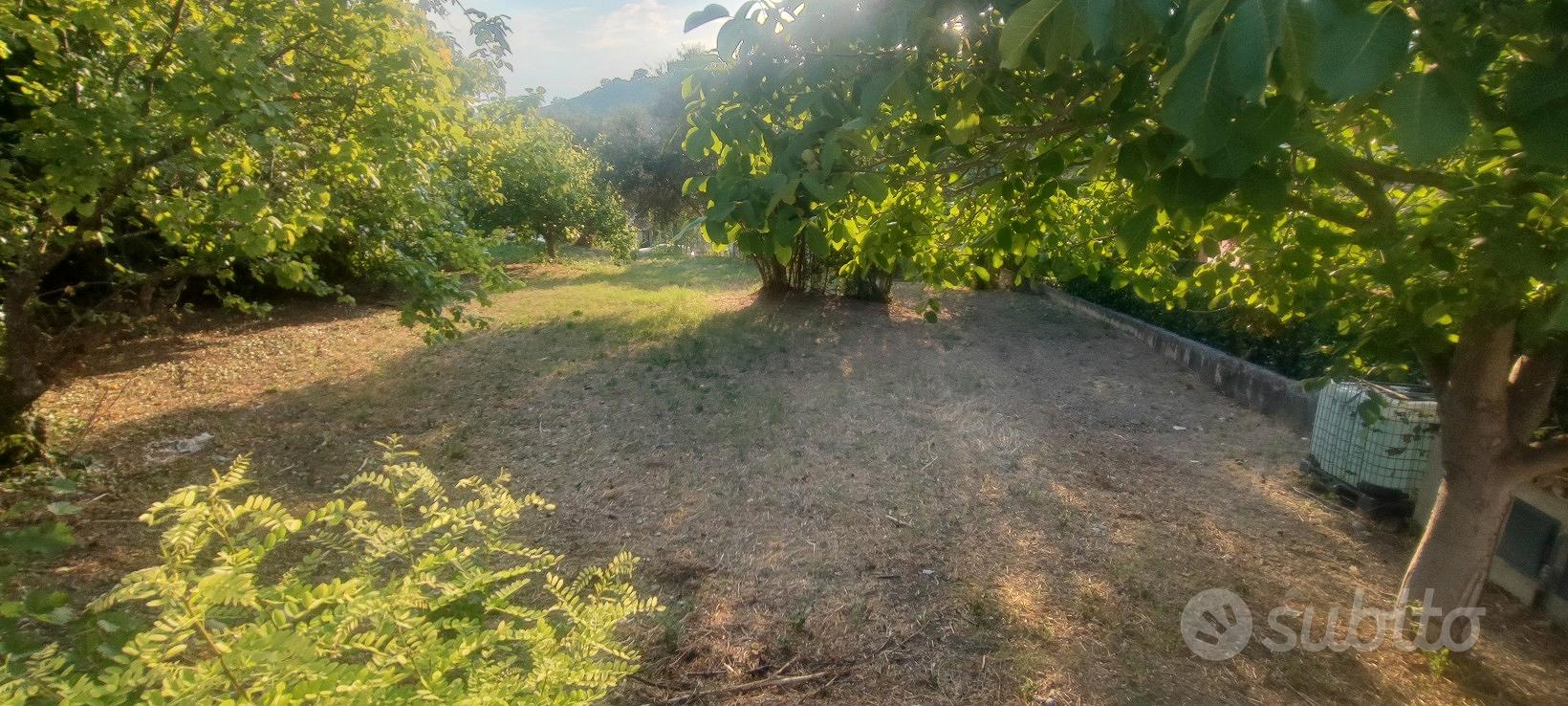Terreno edificabile NOTARESCO centro 1000 mq - Vista 3