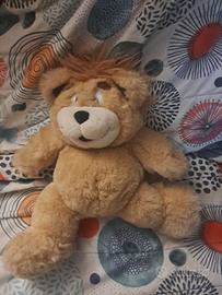 Orso ciro