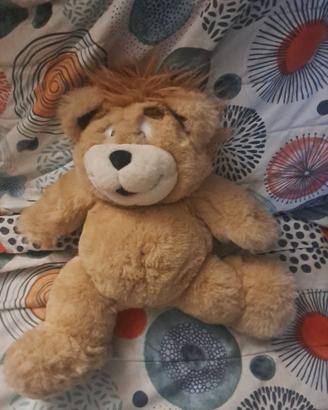 Orso ciro