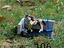 Immagine 2