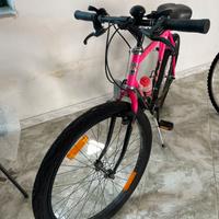 Montain bike Bottecchia- Carnielli ottime condiz