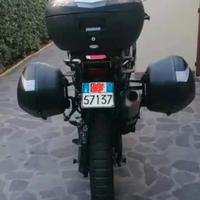 VALIGE LATERALI  SHAD 36 AFRICA TWIN 1000