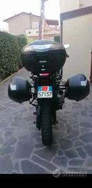 VALIGE LATERALI  SHAD 36 AFRICA TWIN 1000