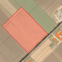Pontinia (LT) - Terreno 4 HA fronte strada | TR439