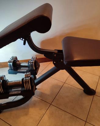 Panca pesi ProForm C600 con manubri regolabili