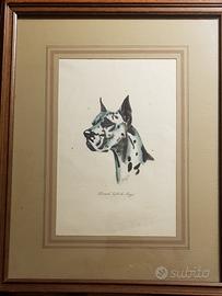 quadro  vintage testa di cane