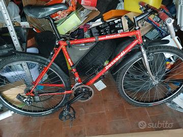 Montabike marca daccordi