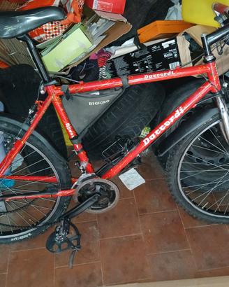 Montabike marca daccordi