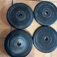 Pesi palestra 2,5 kg