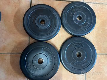 Pesi palestra 2,5 kg