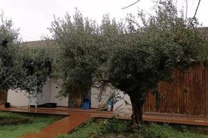 Immobile in asta di 1740 m² a Imola
