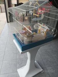 gabbia per canarini 