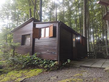 Roulotte e casetta in legno