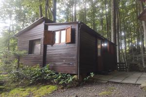 Roulotte e casetta in legno