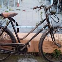 Superba anni 50