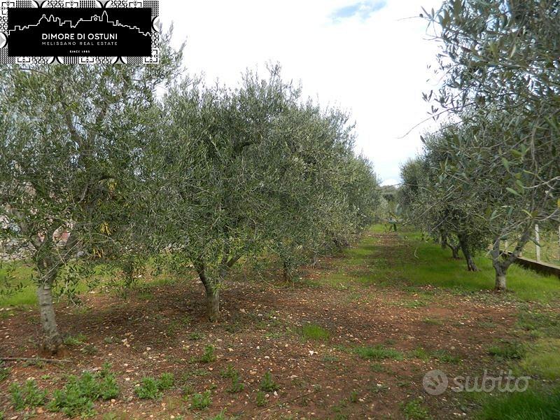 ANTICA LAMIA in VALLE D'ITRIA - OSTUNI - Vista 5