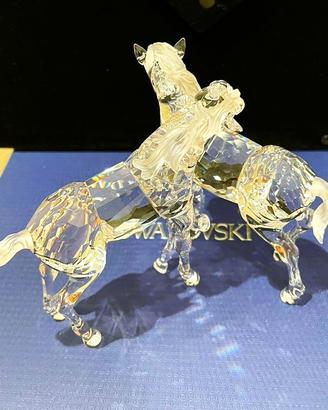 Swarovski, PULEDRI, FOALS