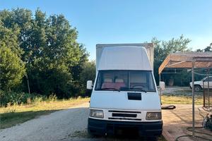 Van trasporto cavalli