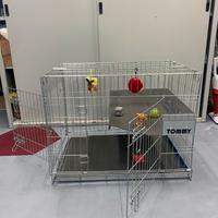 Gabbia x Gatti e Cani