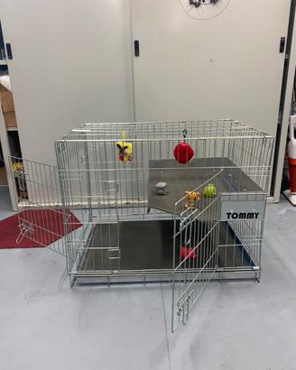 Gabbia x Gatti e Cani