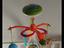 Immagine 2