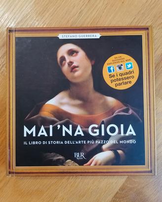 Mai 'na gioia Il libro di Stefano Guerrera 