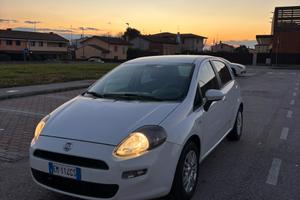FIAT Punto 1.3 MJT II 75 CV 5 porte Pop