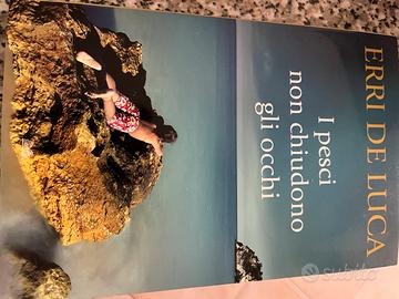 I pesci nonnchiudono gli occhi  erri de luca