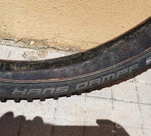 Schwalbe Hans Dampf  29" 2.60