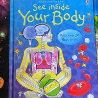 Usborne Flap Book originali in ingelse