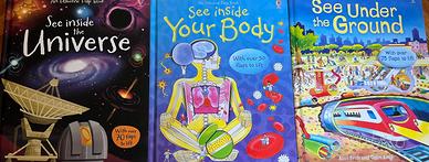 Usborne Flap Book originali in ingelse