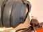 Immagine 6