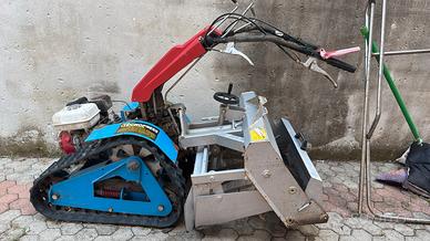 pulisci spiaggia a motore 