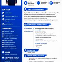 Apprendistato o determinato
