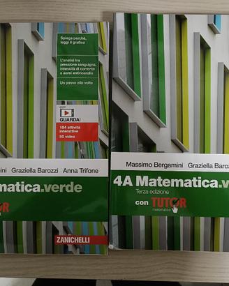 LIBRI DI MATEMATICA (ZANICHELLI)