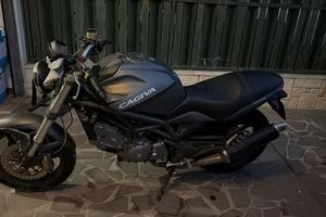 Cagiva raptor 650