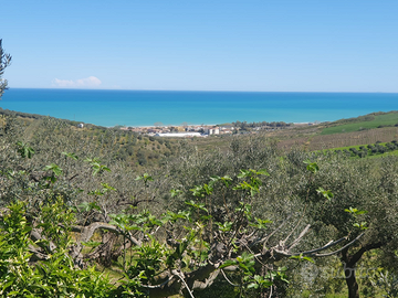 Appartamento vasto 29/12/25