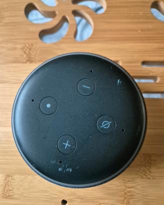 Echo Dot