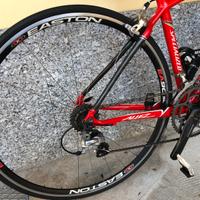 Bicicletta da corsa