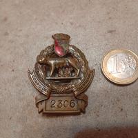 distintivo e medaglia vintage 