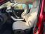 Immagine 7
