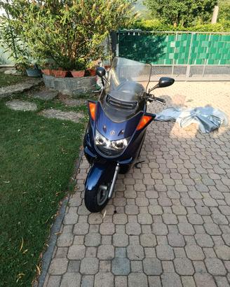 Yamaha Majestic 