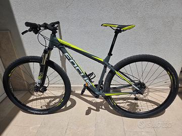Bici Focus Black Forest