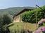 Immagine 24